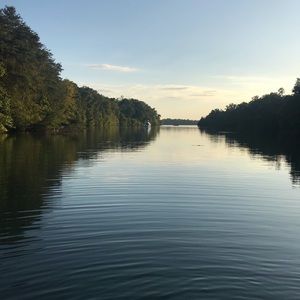 Meet your Posher, Shane